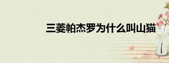 三菱帕杰罗为什么叫山猫