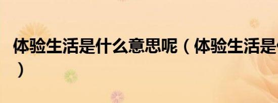 体验生活是什么意思呢（体验生活是什么意思）