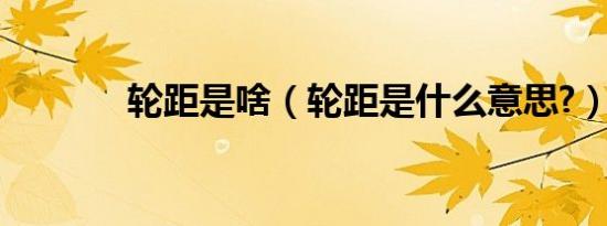 轮距是啥（轮距是什么意思?）