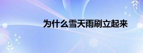 为什么雪天雨刷立起来