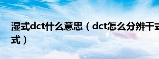 湿式dct什么意思（dct怎么分辨干式还是湿式）