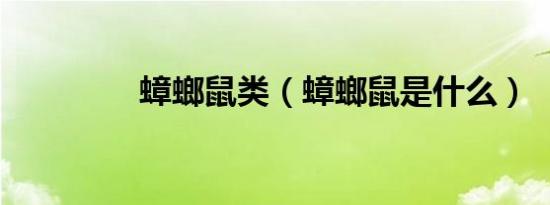 蟑螂鼠类（蟑螂鼠是什么）