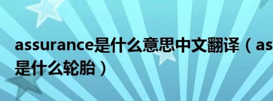 assurance是什么意思中文翻译（assurance是什么轮胎）
