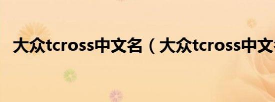 大众tcross中文名（大众tcross中文名字）