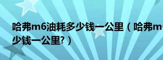 哈弗m6油耗多少钱一公里（哈弗m6油耗多少钱一公里?）