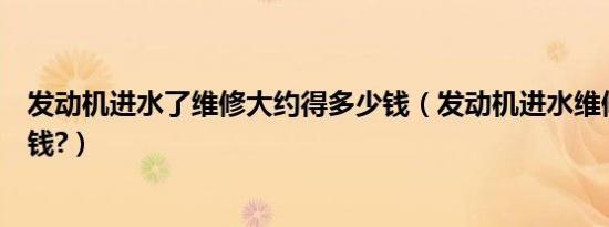 发动机进水了维修大约得多少钱（发动机进水维修需要多少钱?）