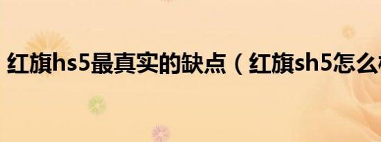 红旗hs5最真实的缺点（红旗sh5怎么样呢?）