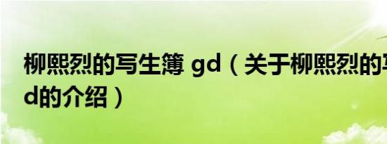 柳熙烈的写生簿 gd（关于柳熙烈的写生簿 gd的介绍）