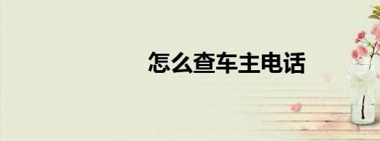 怎么查车主电话