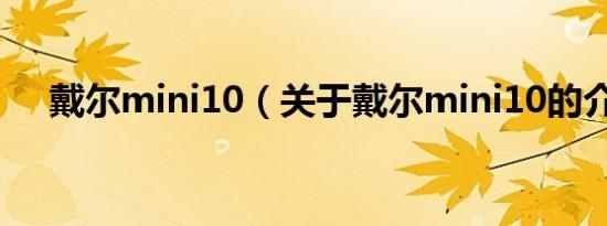 戴尔mini10（关于戴尔mini10的介绍）
