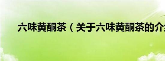 六味黄酮茶（关于六味黄酮茶的介绍）