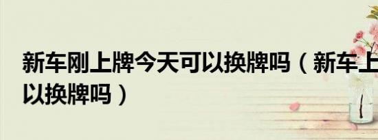 新车刚上牌今天可以换牌吗（新车上牌2天可以换牌吗）