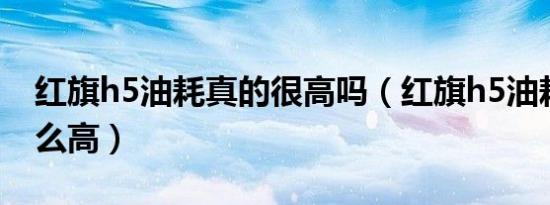 红旗h5油耗真的很高吗（红旗h5油耗为啥那么高）