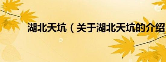 湖北天坑（关于湖北天坑的介绍）