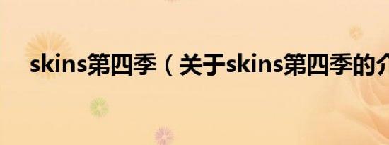 skins第四季（关于skins第四季的介绍）
