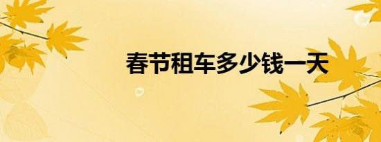 春节租车多少钱一天