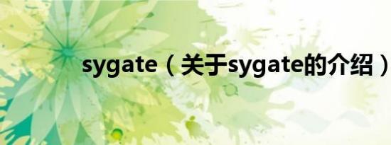 sygate（关于sygate的介绍）