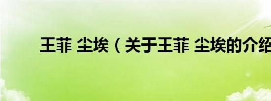 王菲 尘埃（关于王菲 尘埃的介绍）
