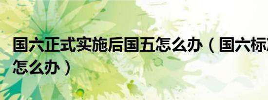 国六正式实施后国五怎么办（国六标准后国五怎么办）