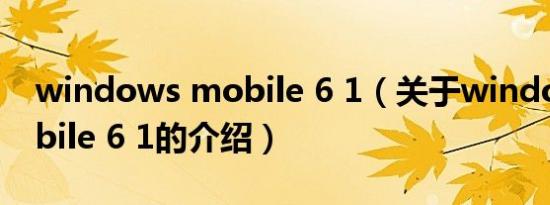 windows mobile 6 1（关于windows mobile 6 1的介绍）