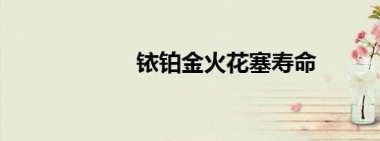 铱铂金火花塞寿命