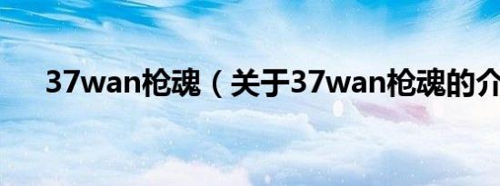 37wan枪魂（关于37wan枪魂的介绍）