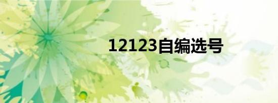 12123自编选号