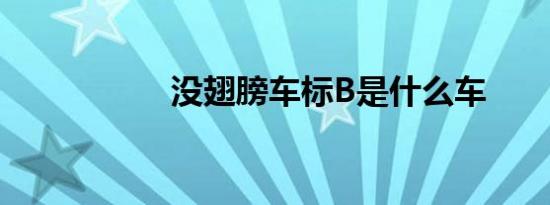 没翅膀车标B是什么车