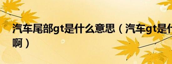 汽车尾部gt是什么意思（汽车gt是什么意思啊）