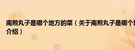 南煎丸子是哪个地方的菜（关于南煎丸子是哪个地方的菜的介绍）