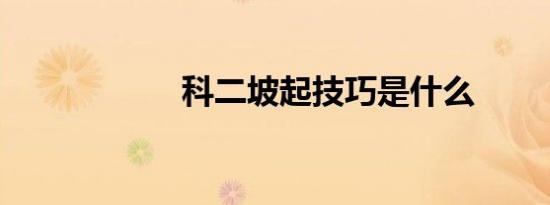 科二坡起技巧是什么