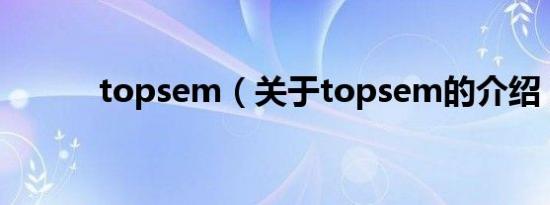 topsem（关于topsem的介绍）