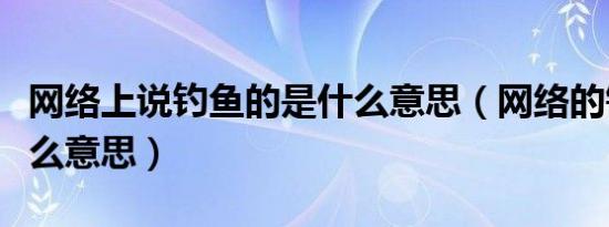 网络上说钓鱼的是什么意思（网络的钓鱼是什么意思）
