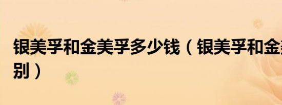 银美孚和金美孚多少钱（银美孚和金美孚的区别）