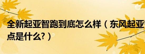 全新起亚智跑到底怎么样（东风起亚智跑的缺点是什么?）