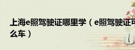 上海e照驾驶证哪里学（e照驾驶证可以开什么车）