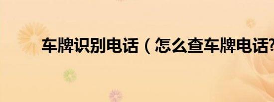车牌识别电话（怎么查车牌电话?）