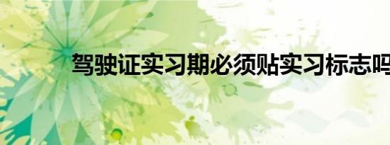 驾驶证实习期必须贴实习标志吗