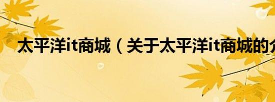 太平洋it商城（关于太平洋it商城的介绍）
