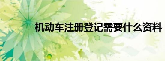 机动车注册登记需要什么资料