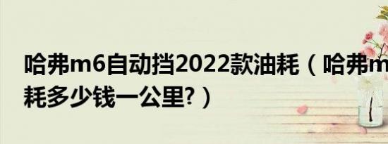 哈弗m6自动挡2022款油耗（哈弗m6真实油耗多少钱一公里?）