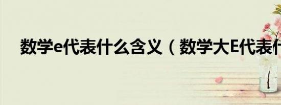 数学e代表什么含义（数学大E代表什么）