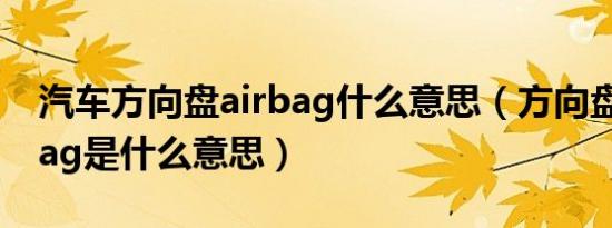 汽车方向盘airbag什么意思（方向盘srsairbag是什么意思）