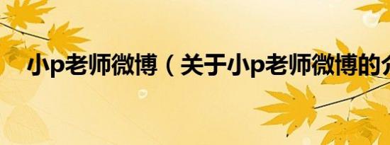 小p老师微博（关于小p老师微博的介绍）