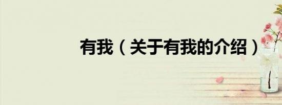 有我（关于有我的介绍）