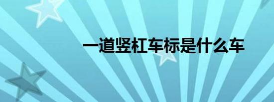 一道竖杠车标是什么车