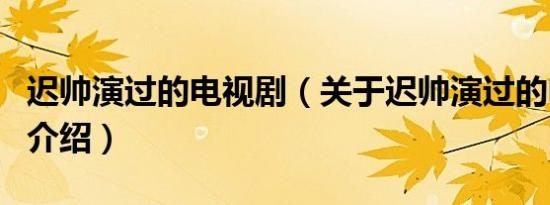 迟帅演过的电视剧（关于迟帅演过的电视剧的介绍）