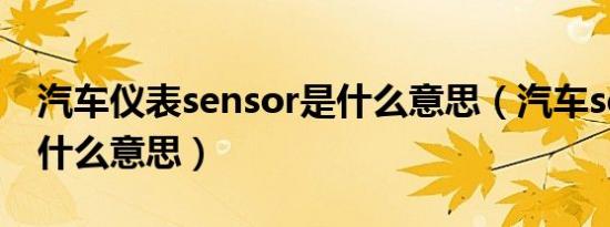 汽车仪表sensor是什么意思（汽车sensor是什么意思）