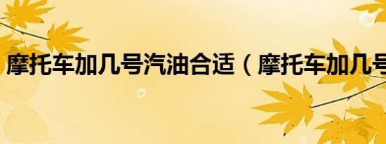 摩托车加几号汽油合适（摩托车加几号汽油）