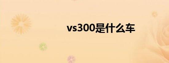 vs300是什么车